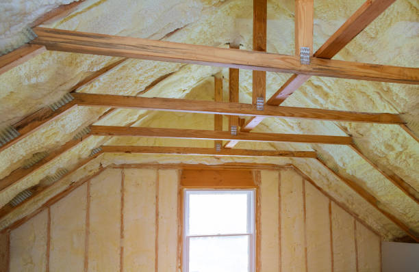 Best Eco-Friendly Insulation in Newport East, RI